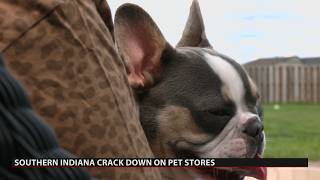Clarksville files charges against Puppygram over alleged violations of pet store ordinance
