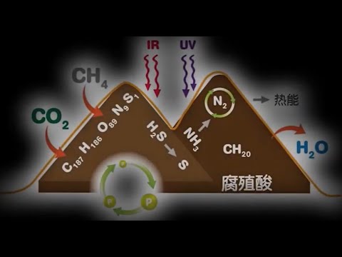 VRM Biologik Groundswell® in China