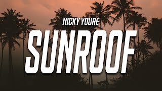Nicky Youre - Sunroof (Lyrics) feat dazy “i got 
