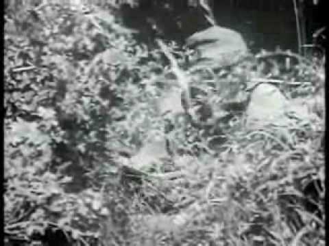World War II   German Sniper Training Film Part 1