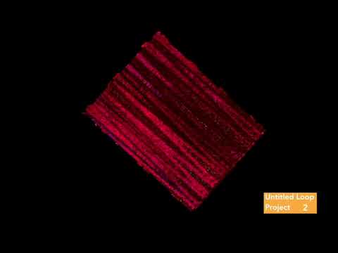 Untitled Loop Project: Demo 2