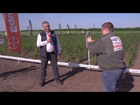 BAYER AGRO ARENA 2020: SCDA Caracal