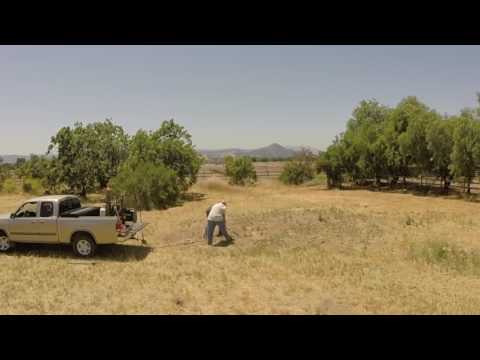 download lagu mp3 mp4 Rodex, download mp3 Rodex free downloadn, video klip Rodex