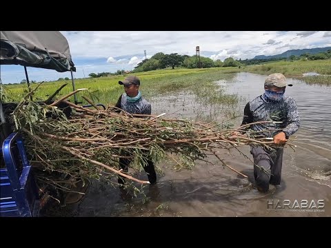 EP756-P1 - Paggawa ng Gango | Occ. Mindoro