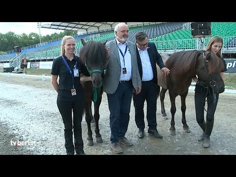 tv.berlin Nachrichten vom 02.08.2019