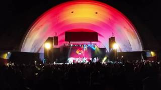 Darling Angel - Rebel Souljahz (MAYJAH RAYJAH 2016)