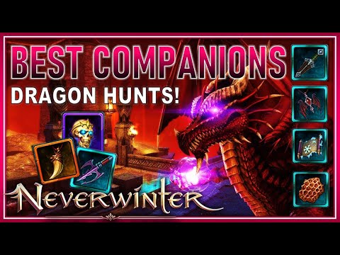 Mod 23 BEST Damage Companions! Testing 20+ Comps Solo in Dragon Hunts (Rogue) - Neverwinter Preview