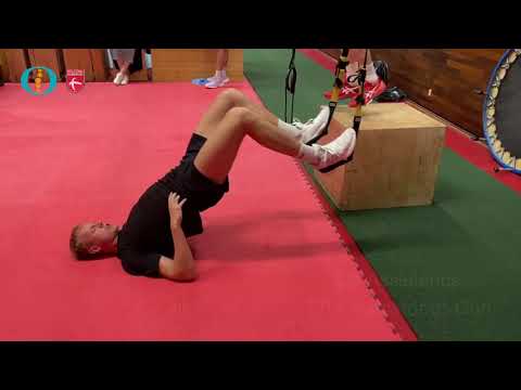 TRX hams curl