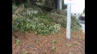 preview picture of video 'Tauranga, New Zealand. Dive Crescent to Marsh St, Rob's Path, as at 17 July 2010.mpg'