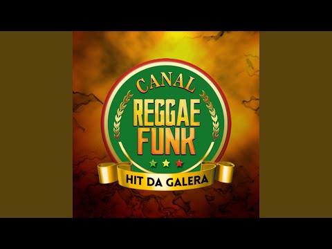 Melo De Ana Luiza Vs Reggae Funk Nelly Som 2025