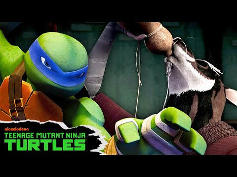Splinter Uses NEW Fighting Technique in TMNT Training 🥴 | Full Scene | Teenage Mutant Ninja Turtles