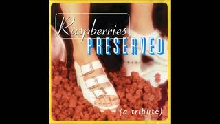 Scott McCarl - Nobody Knows (The Raspberries cover)