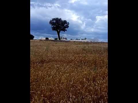 Laverda 255 LCS in Puglia