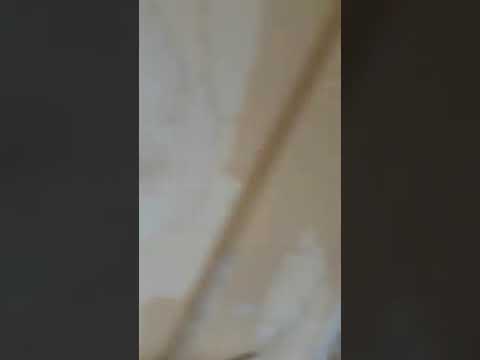 SPITALU 6 ORADEA DOAMNA MINISTRU TREZITIVA !!!