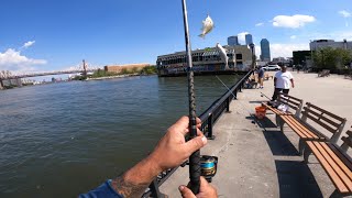NYC-fishing 9/14/2025