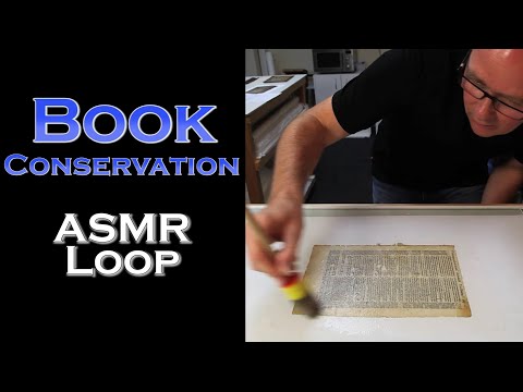 ASMR Loop: Book Conservation - Unintentional ASMR - 1 Hour
