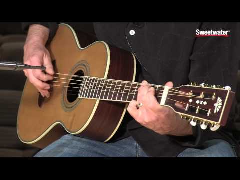 Washburn WP21SENS Acoustic-electric Guitar Demo by Sweetwater Sound