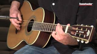 Washburn WP21SENS Acoustic-electric Guitar Demo by Sweetwater Sound