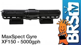 MaxSpect Gyre XF150 Flow Dynamics
