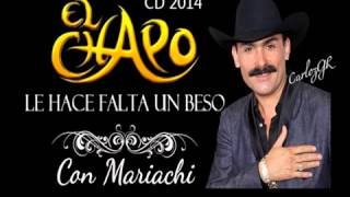 MALDITO DOLOR EL CHAPO DE SINALOA   ((2014))