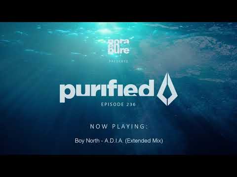 Nora En Pure - Purified Radio Episode 236