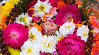 Pandit Anil shastri ji hsp is live महारुद्राभिषेक#rudrabhishek #path #shiv #vidiyo #wayaral