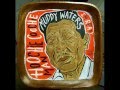 I'm Your Hoochie Coochie Man Muddy Waters ...