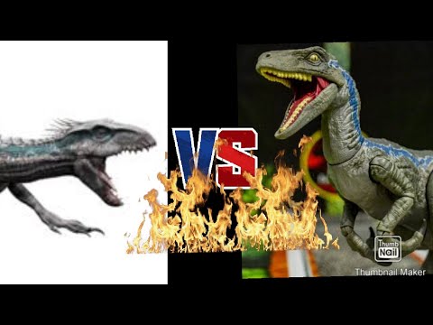 White indoraptor vs blue