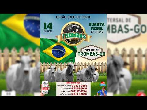 LEILÃO  GADO DE CORTE TROMBAS LEILÕES - TROMBAS GOIAS  - 14 / 10 / 2026