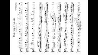 Carnival of Venice David Garrett (downloadble)