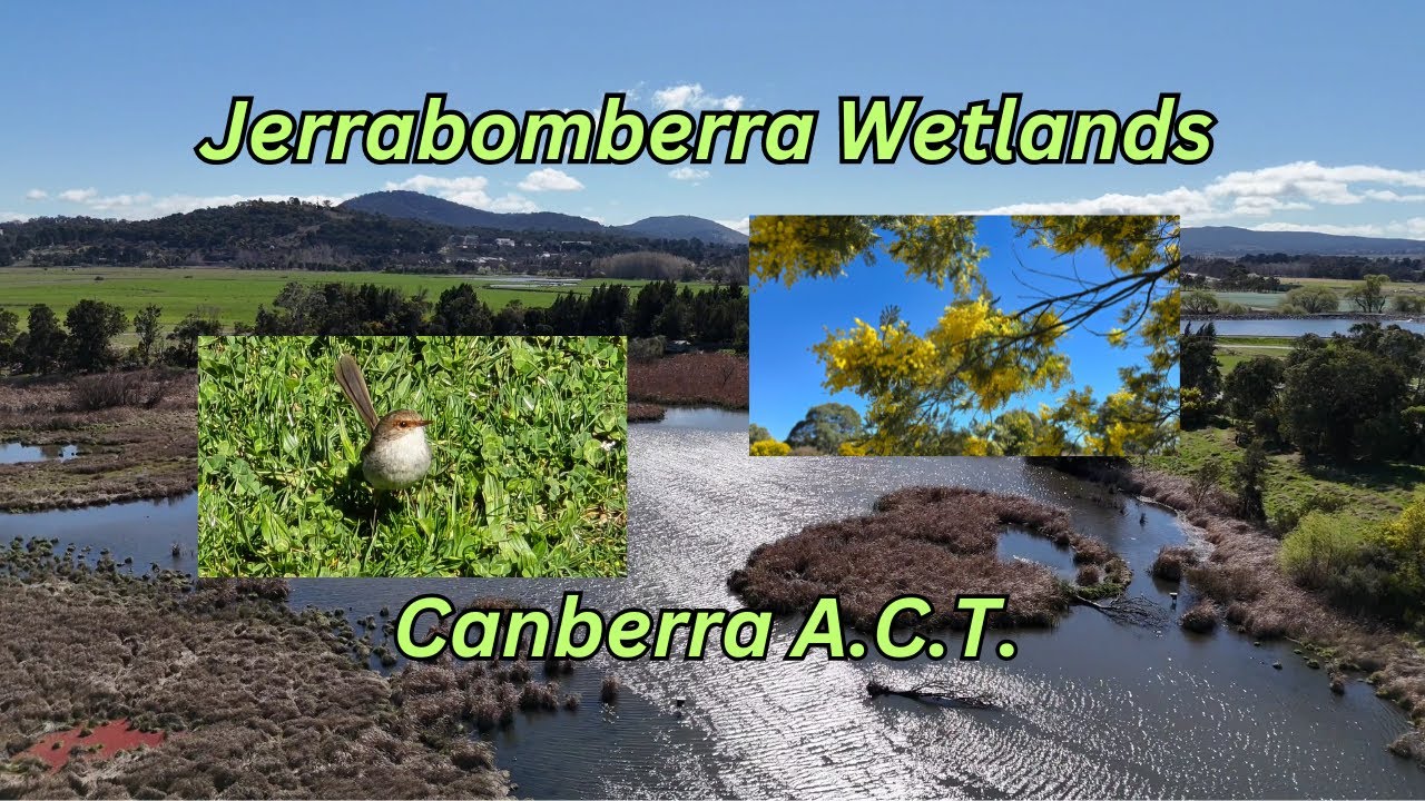 Experience a captivating peek of Jerrabomberra Wetlands.