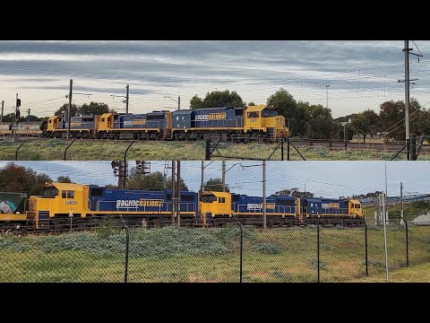 Deniliquin Grain Trains at  Laverton! 3 XR Class Locomotives!
