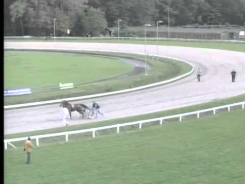 How to....... catch a horse.... Racetrack Duindigt - The Netherlands 28 aug. 2011