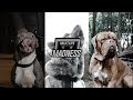 OFB SJ X BandoKay X Double Lz Purge Music Video MixtapeMadness