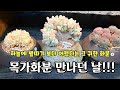 목가화분 을 처음 만났습니다 / 어렵게 구할수밖에 없는이유를 알겠네요 /고급지네요 목가화분 을 처음 만났습니다 / 어렵게 구할수밖에 없는이유를 알겠네요 /고급지네요