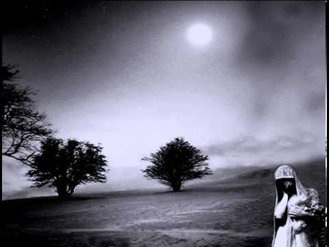 Noctis Invocat   Noctis Invocat