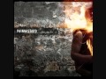 Painbastard - Skin On Fire(v.02) 