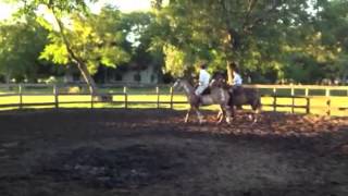 Baltar Pacífica Cholila 2