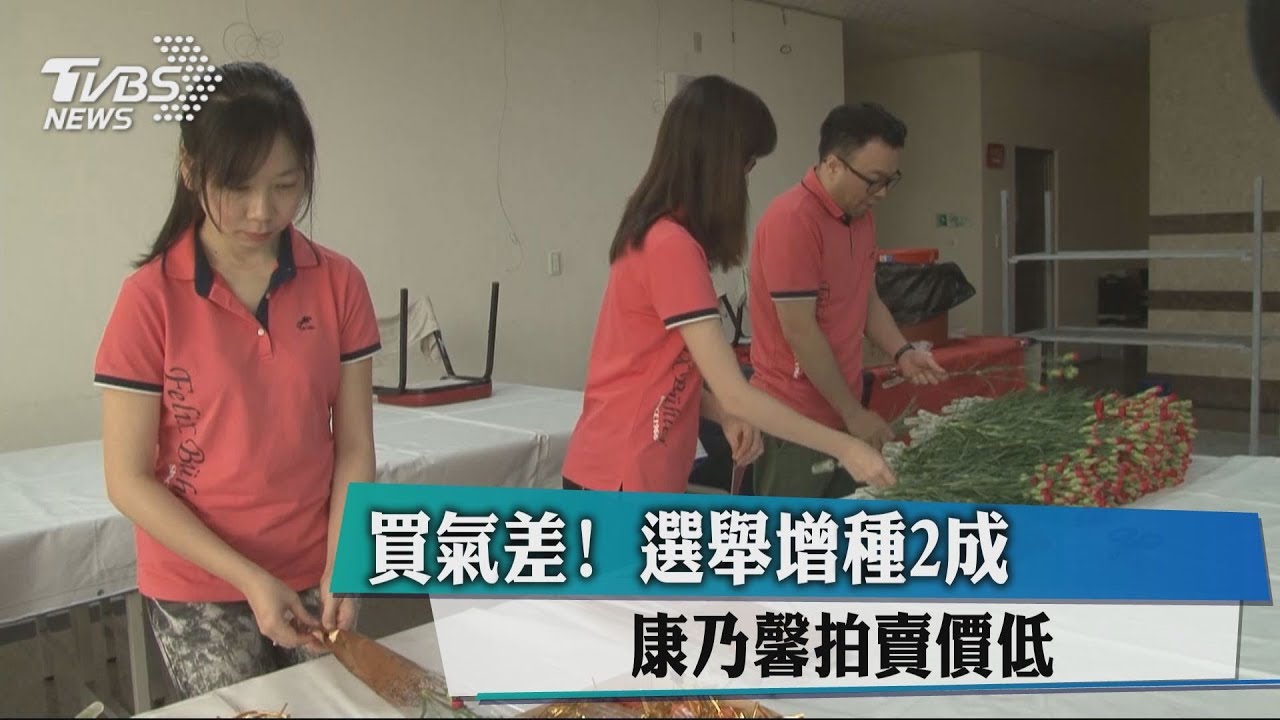 買氣差！選舉增種2成　康乃馨拍賣價低