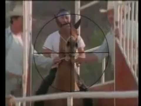 Los Huracanes del Norte - La Sota Colorada [Video Oficial]