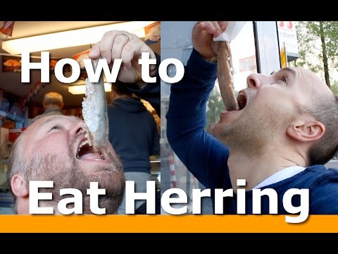 3 MELHORES maneiras de comer arenque em Amsterdã com Woltersworld