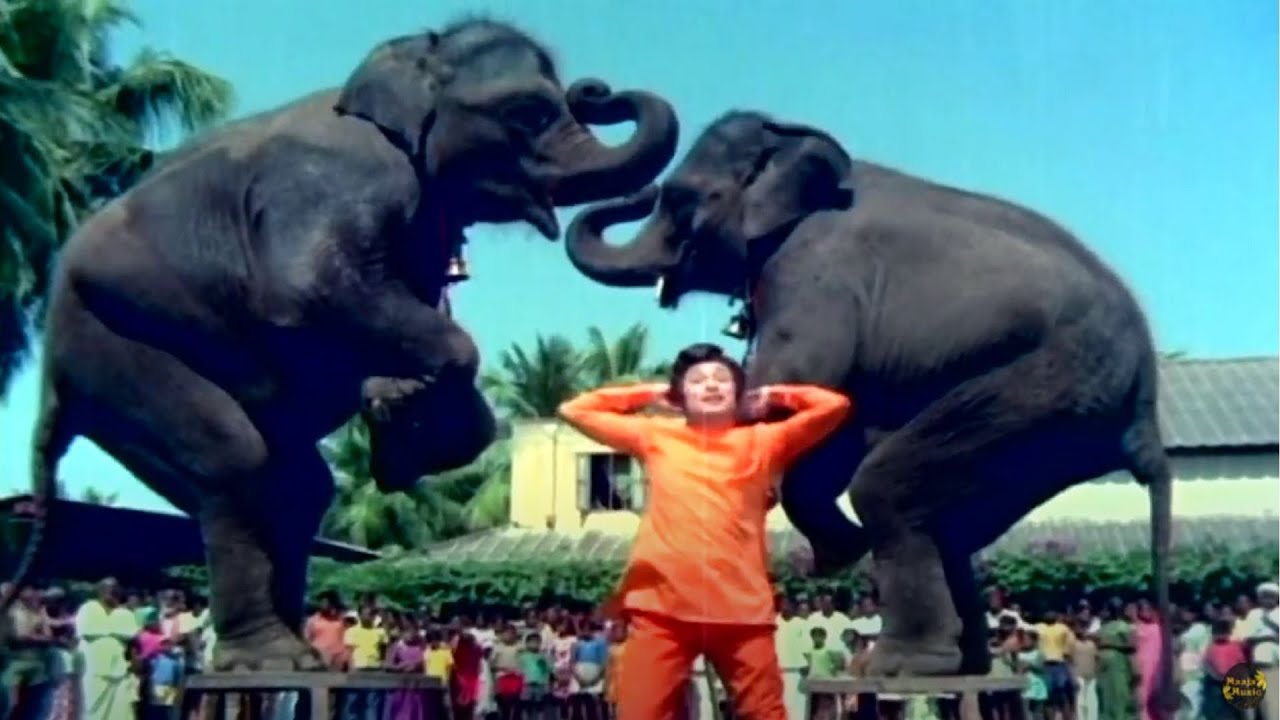 Odi Odi Uzhaikkanum Song Lyrics | Nalla Neram | T.M. Soundararajan