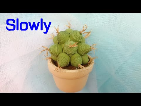 ABC TV | How To Make Cactus Plant (Slowly)- Paper Quilling - Craft Tutorial