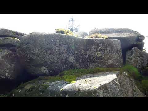 Lost Places im Hochharz - Der Hochharzwald stirbt auch auf der Heinrichshöhe