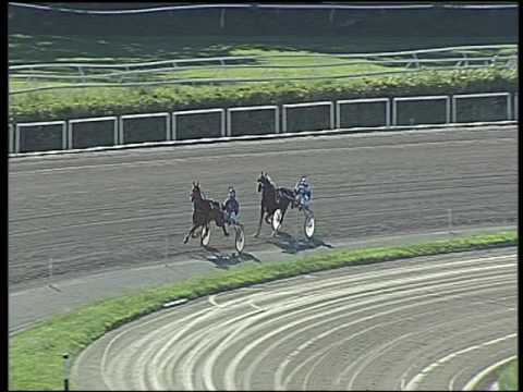 Trotto 20/05/2016 - prova di qualifica