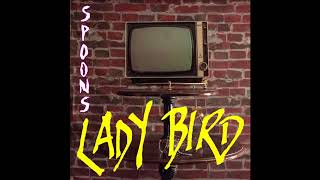 Lady Bird - Spoons video