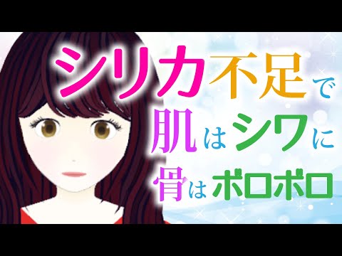 シリカについて詳しく解説