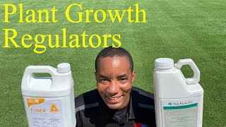 [PLANT GROWTH REGULATORS APPLICATION TRICKS] - T-Nex vs Tide Paclo 2SC