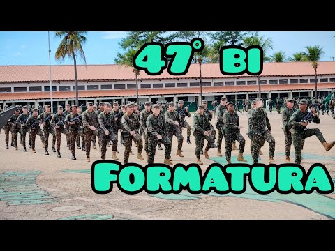 João Barbosa - Na Estrada and Cars and Adventures