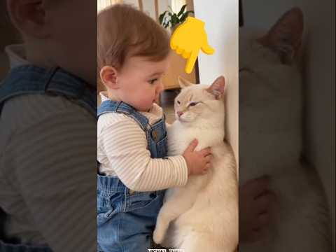 Baby With Kitten 🥹🐈 #funny #funnyshorts #shortsfeed #viralshorts